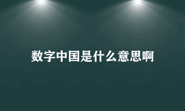 数字中国是什么意思啊