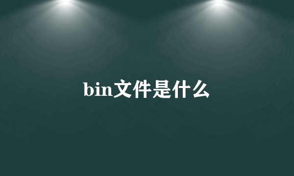 bin文件是什么