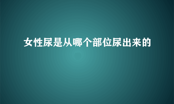 女性尿是从哪个部位尿出来的