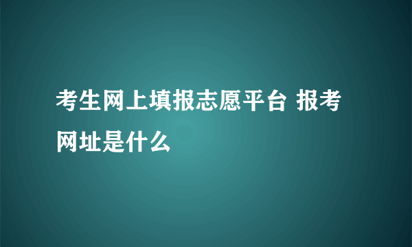 考生网上填报志愿平台 报考网址是什么