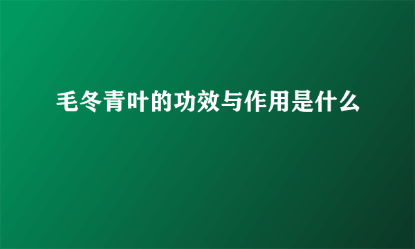 毛冬青叶的功效与作用是什么