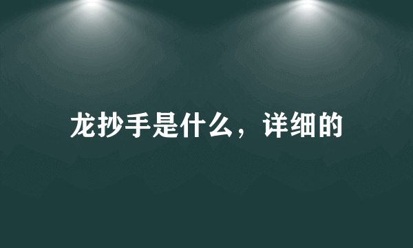 龙抄手是什么，详细的