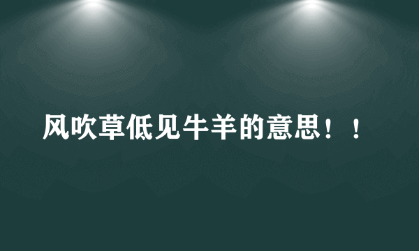 风吹草低见牛羊的意思！！