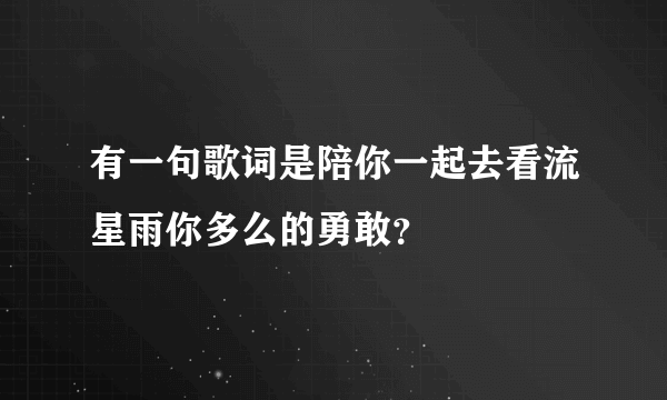 有一句歌词是陪你一起去看流星雨你多么的勇敢？