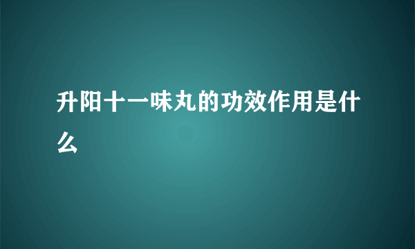 升阳十一味丸的功效作用是什么