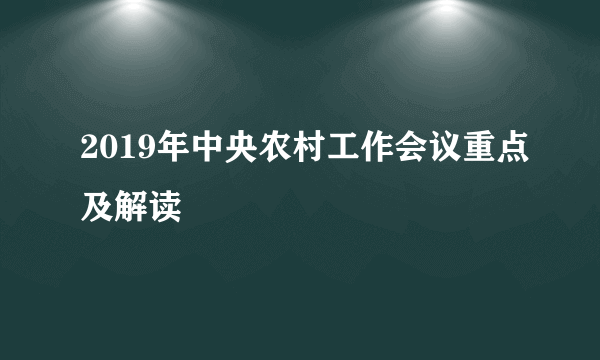 2019年中央农村工作会议重点及解读