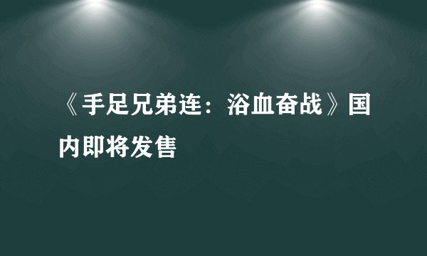 《手足兄弟连：浴血奋战》国内即将发售