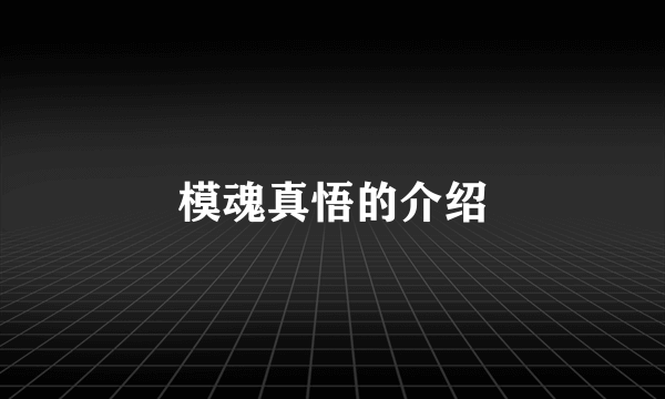 模魂真悟的介绍