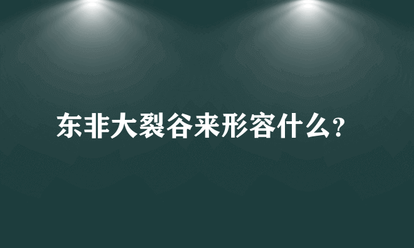 东非大裂谷来形容什么？