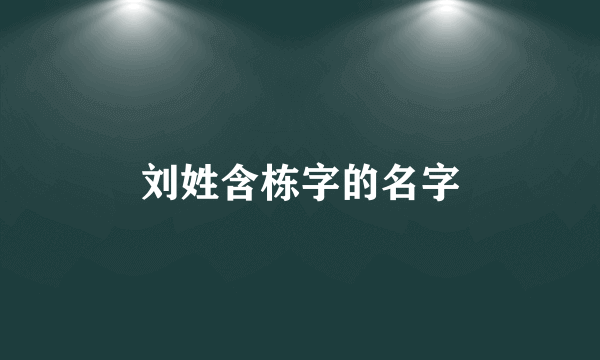 刘姓含栋字的名字