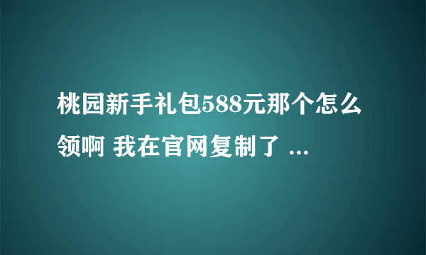 桃园新手礼包588元那个怎么领啊 我在官网复制了 在游戏上领还是在官网上领啊