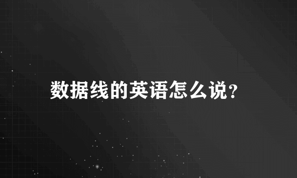 数据线的英语怎么说？