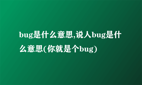 bug是什么意思,说人bug是什么意思(你就是个bug)