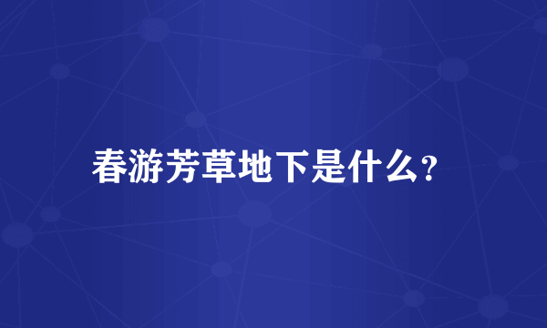 春游芳草地下是什么？