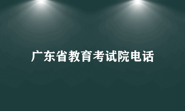 广东省教育考试院电话