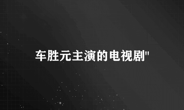 车胜元主演的电视剧