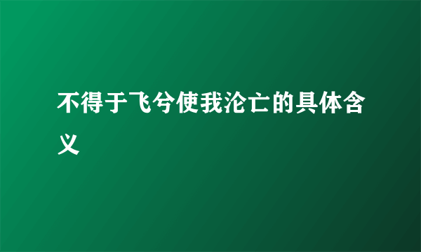 不得于飞兮使我沦亡的具体含义