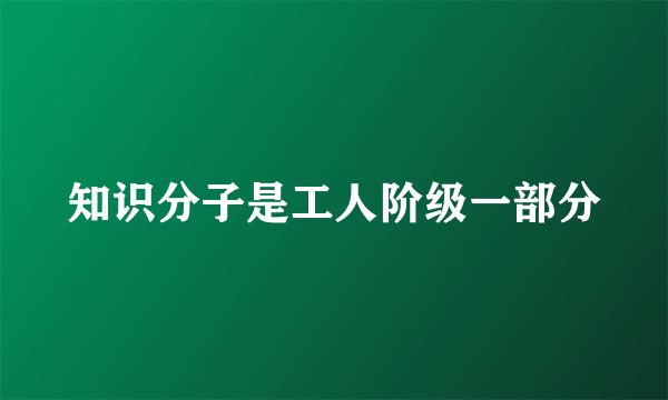 知识分子是工人阶级一部分