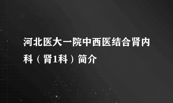 河北医大一院中西医结合肾内科（肾1科）简介