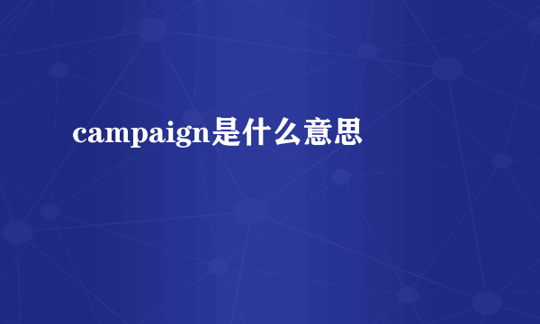 campaign是什么意思