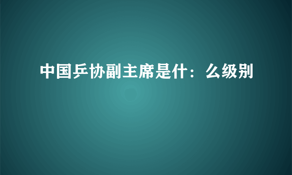 中国乒协副主席是什：么级别