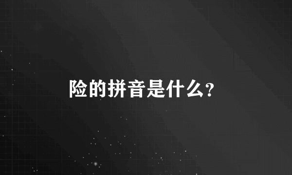 险的拼音是什么？