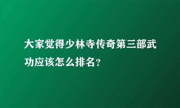 大家觉得少林寺传奇第三部武功应该怎么排名？