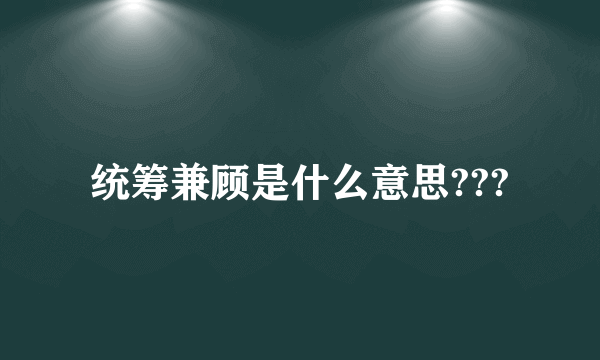 统筹兼顾是什么意思???