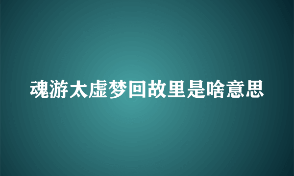 魂游太虚梦回故里是啥意思