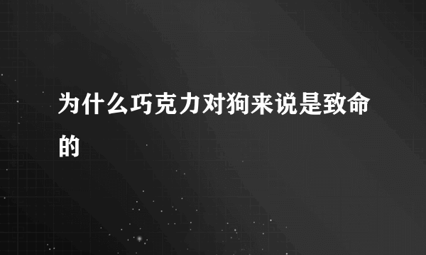 为什么巧克力对狗来说是致命的