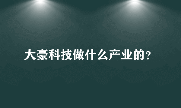 大豪科技做什么产业的？