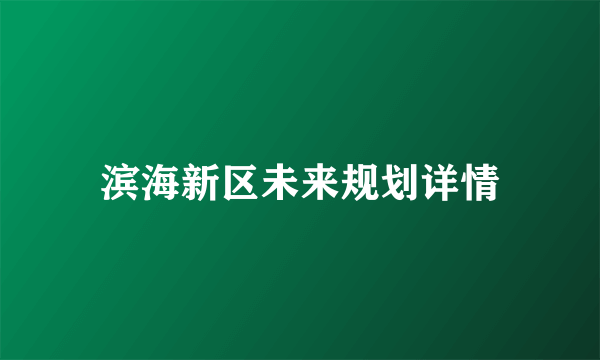 滨海新区未来规划详情