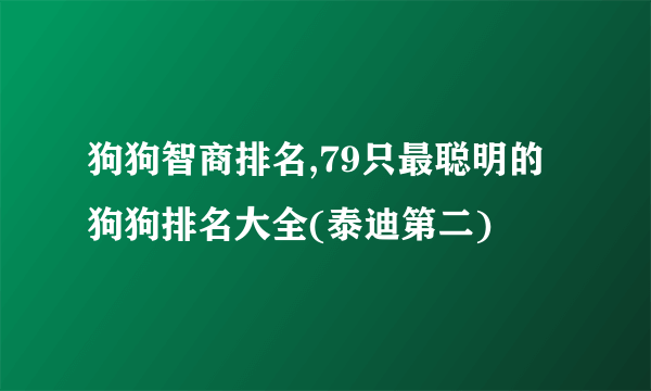 狗狗智商排名,79只最聪明的狗狗排名大全(泰迪第二)