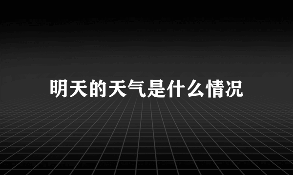 明天的天气是什么情况