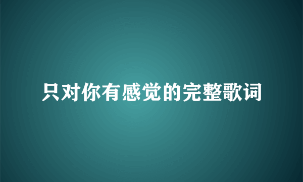 只对你有感觉的完整歌词