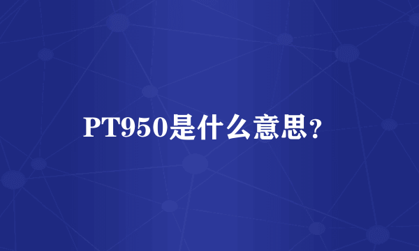 PT950是什么意思？