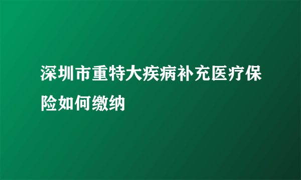 深圳市重特大疾病补充医疗保险如何缴纳