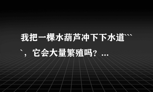 我把一棵水葫芦冲下下水道````，它会大量繁殖吗？我现在很担心