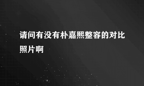 请问有没有朴嘉熙整容的对比照片啊