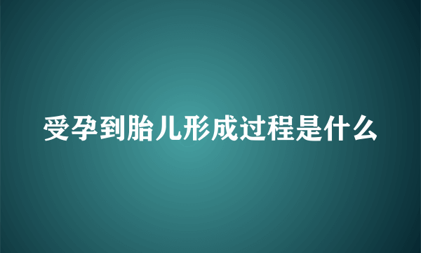 受孕到胎儿形成过程是什么