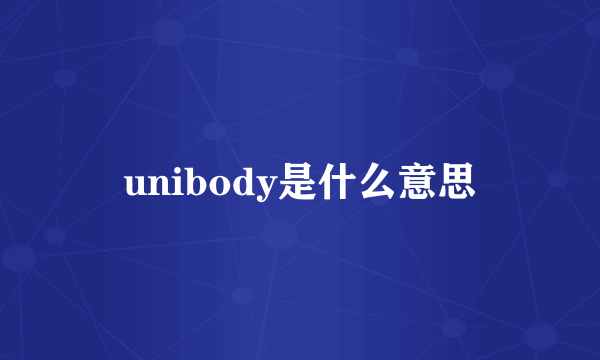 unibody是什么意思