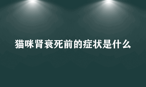 猫咪肾衰死前的症状是什么