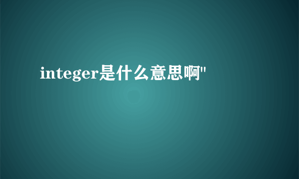 integer是什么意思啊