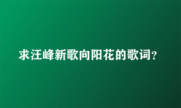 求汪峰新歌向阳花的歌词？