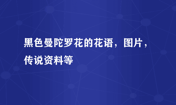 黑色曼陀罗花的花语，图片，传说资料等