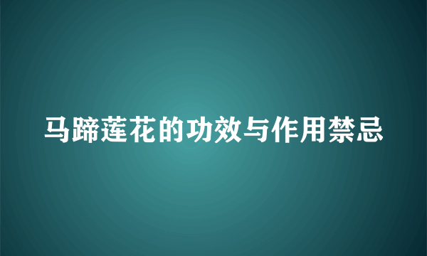 马蹄莲花的功效与作用禁忌