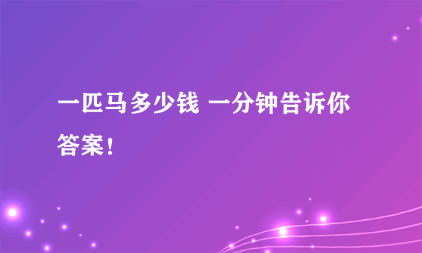 一匹马多少钱 一分钟告诉你答案！