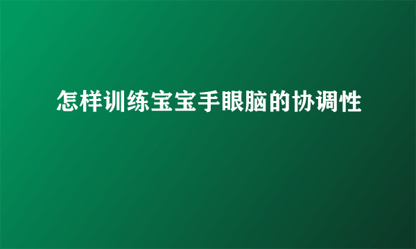 怎样训练宝宝手眼脑的协调性