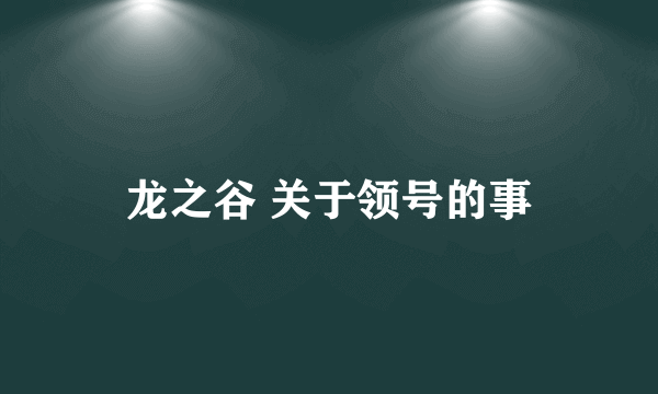 龙之谷 关于领号的事