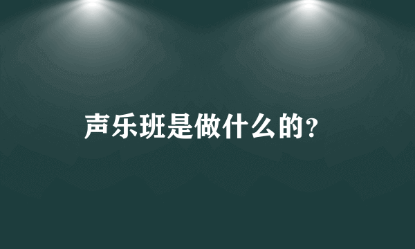 声乐班是做什么的？